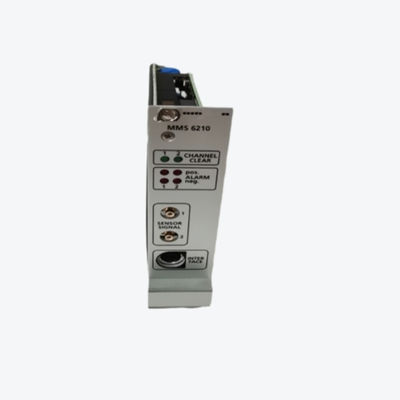 MMS 6210 EPRO Dual-Channel LAGER VIBRATIEMETING 4 - 13HZ